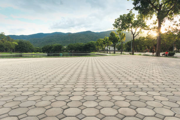 Best Professional Driveway Pavers  in Cape Charles, VA